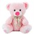 Teddy Bear +$24.99